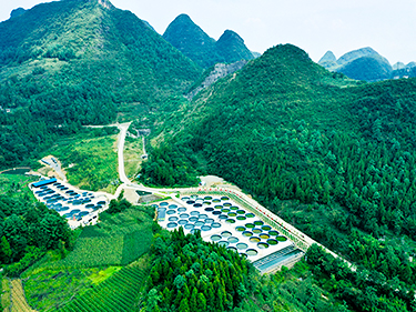 С��?zh��)���ˮ�~�B(y��ng)ֳ����